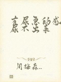 有尿急的感觉却尿不出来