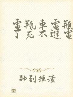 电瓶车电瓶放久了充不进电怎么回事