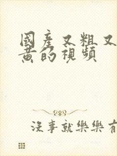 国产又粗又爽又黄的视频