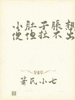 小肚子胀想上大便但拉不出来怎么回事