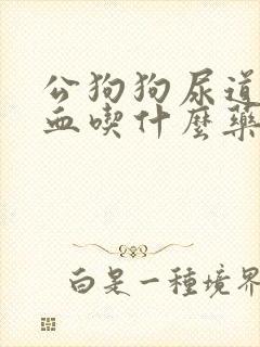 公狗狗尿道口滴血吃什么药