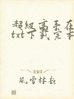 超级高手在都市txt下载完本