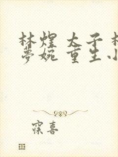 林煜 太子 林梦婉 重生小说