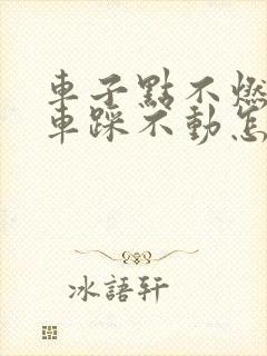 车子点不燃火刹车踩不动怎么回事