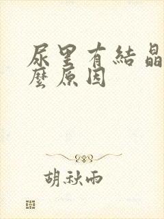 尿里有结晶是什么原因