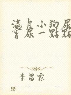 满月小狗尿频一会尿一点点