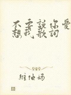 不要说你爱我你想我歌词