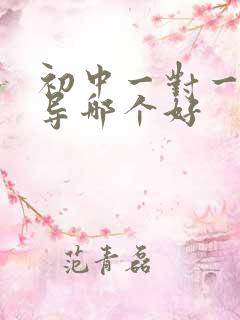 初中一对一的辅导哪个好