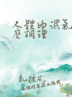 人体内湿气重怎么调理