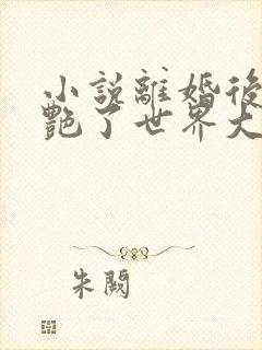 小说离婚后她惊艳了世界大结局全文