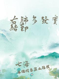 右肺多发实性微结节