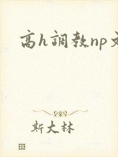 高h调教np文