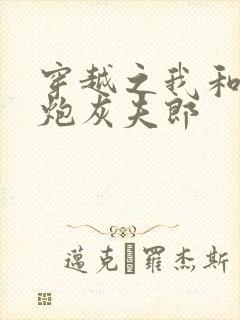 穿越之我和我的炮灰夫郎