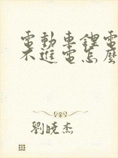 电动车锂电池充不进电怎么解决