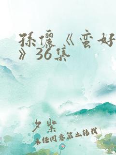 孙俪《蛮好人生》36集