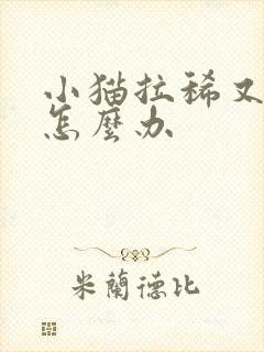 小猫拉稀又呕吐怎么办