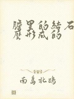 胆里的结石是怎么形成的