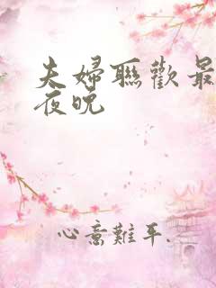 夫妇联欢最后的夜晚