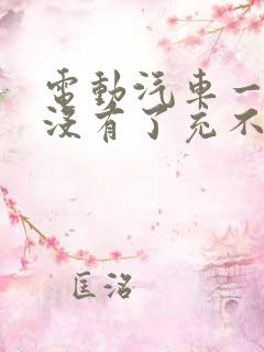 电动汽车一点电没有了充不进电怎么办