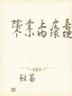 阴囊上皮长了一个小肉球硬硬的