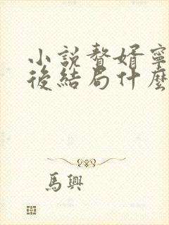 小说赘婿宁毅最后结局什么样