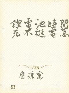 锂电池时间久了充不进电怎么办