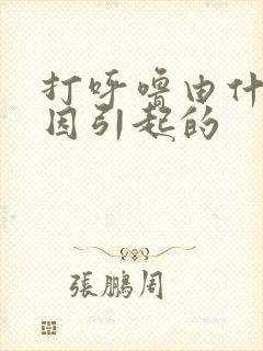 打呼噜由什么原因引起的