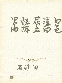 男性尿道口流脓内裤上白色分泌物