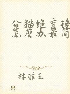 公猫绝育后乱尿怎么办最简单方法