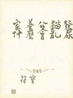 家养公猫发情为什么会乱尿