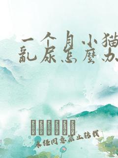 一个月小猫乱拉乱尿怎么办