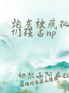 炮灰被疯批男主们强占np