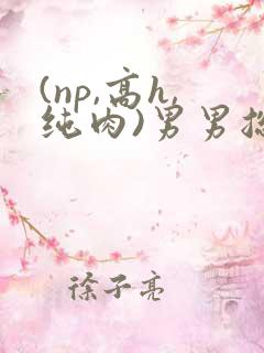 (np,高h,纯肉)男男总攻