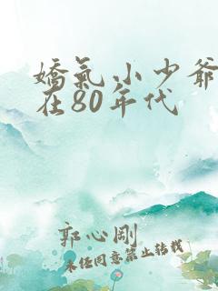 娇气小少爷重生在80年代