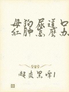 母狗尿道口发炎红肿怎么办