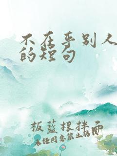 不在乎别人眼光的短句