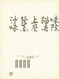 沙发上猫咪尿骚味怎么去除