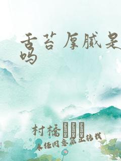 舌苔厚腻是痰湿吗