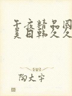 午夜精品国产欧美日韩久久