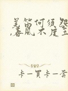 羌笛何须怨杨柳,春风不度玉门关地理