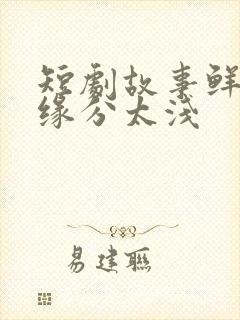 短剧故事鲜艳,缘分太浅