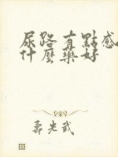 尿路有点感染吃什么药好