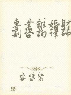 专业离婚财产分割咨询律师