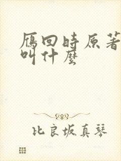 雁回时原著小说叫什么