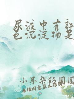 尿液中有许多白色沉淀物是什么原因