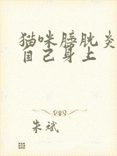 猫咪膀胱炎老尿自己身上