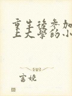 重生后参加高考上大学的小说