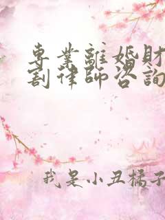 专业离婚财产分割律师咨询