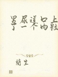 男尿道口上面长了一个肉粒