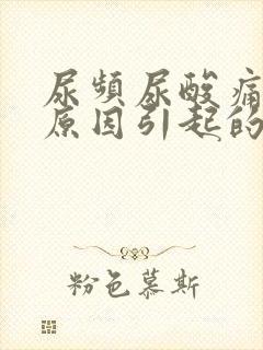 尿频尿酸痛什么原因引起的